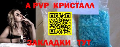 PSILOCYBIN Можга