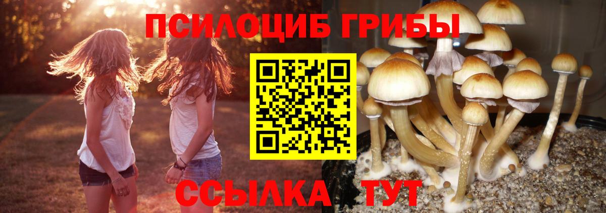 Псилоцибиновые грибы прущие грибы  Вход с VPN  где купить   Самара  Галлюциногенные грибы мухоморы 